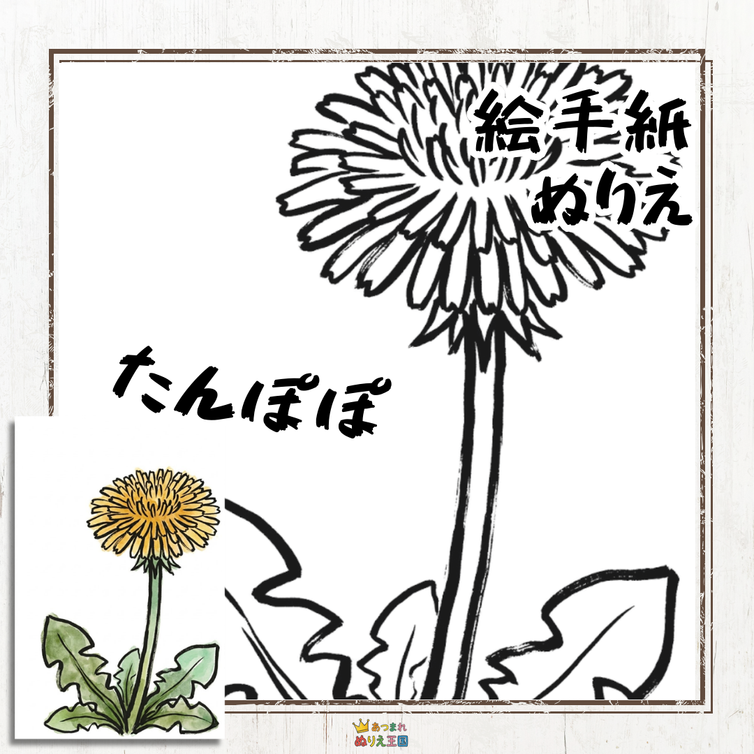 道端で元気いっぱいに咲く春の象徴「たんぽぽ」を、筆のタッチが温かい絵手紙風の塗り絵にしました