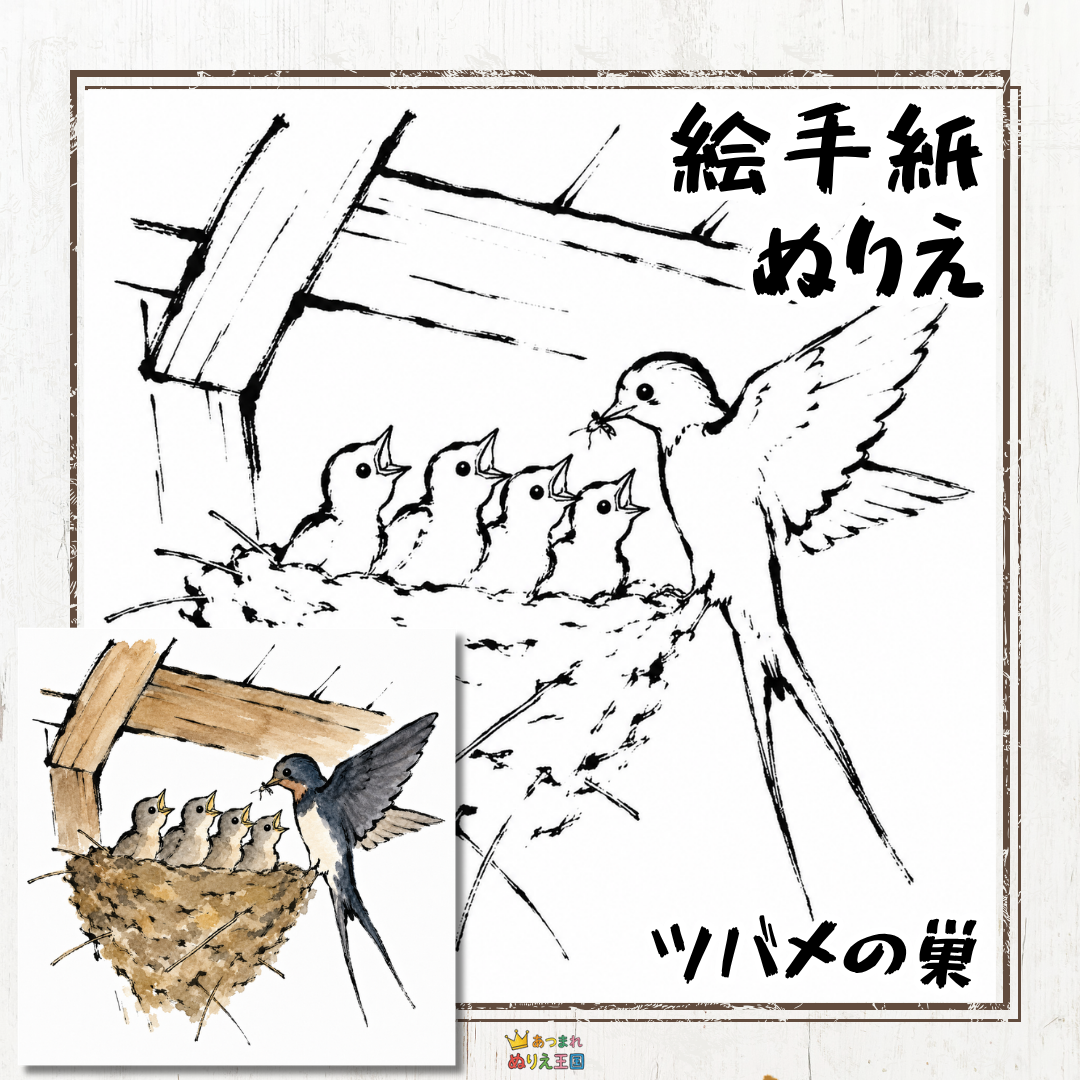 【シニア・大人の塗り絵】ハガキに簡単印刷！子育てする「ツバメの巣」絵手紙風フリー素材