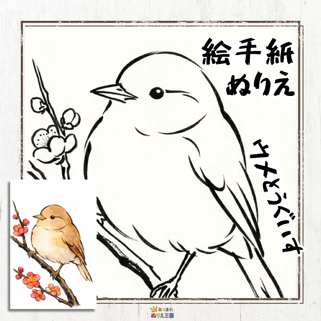 梅とウグイスの絵手紙風イラスト｜はがきサイズでそのまま送れる！ 高齢者向け無料塗り絵