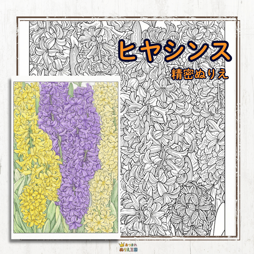 【無料】超難問！「ヒヤシンスの精密ぬりえ」　大人用