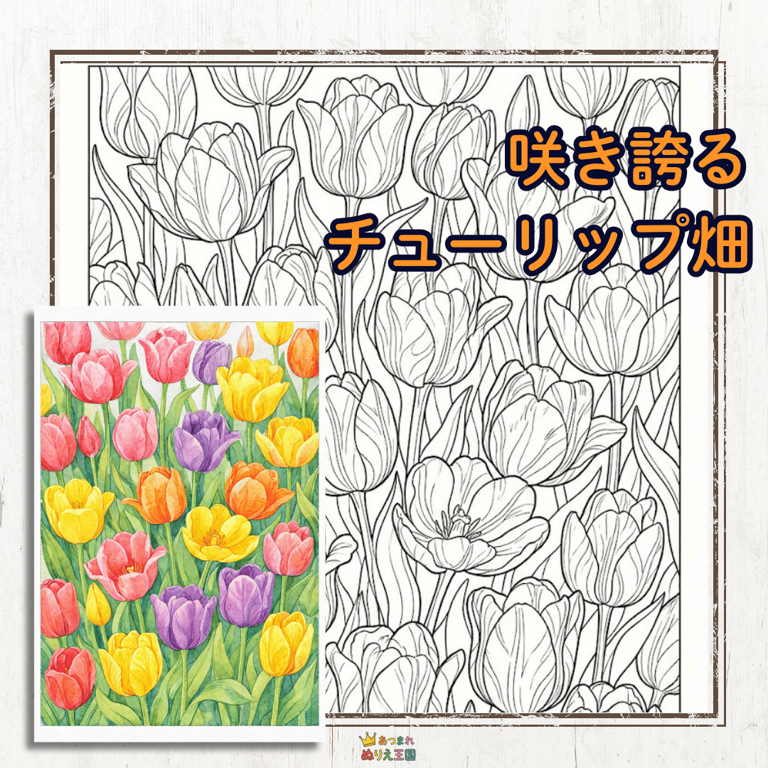 【チューリップ】花びらの重なりや、すっと伸びる茎のラインまで丁寧に描いた、少し難易度が高めの塗り絵PDF