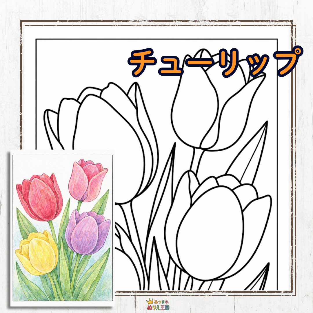 春の童謡でおなじみ「チューリップ」の塗り絵です。線が太く絵柄が大きいため、小さなお子様や高齢者の方でも簡単に楽しめます。