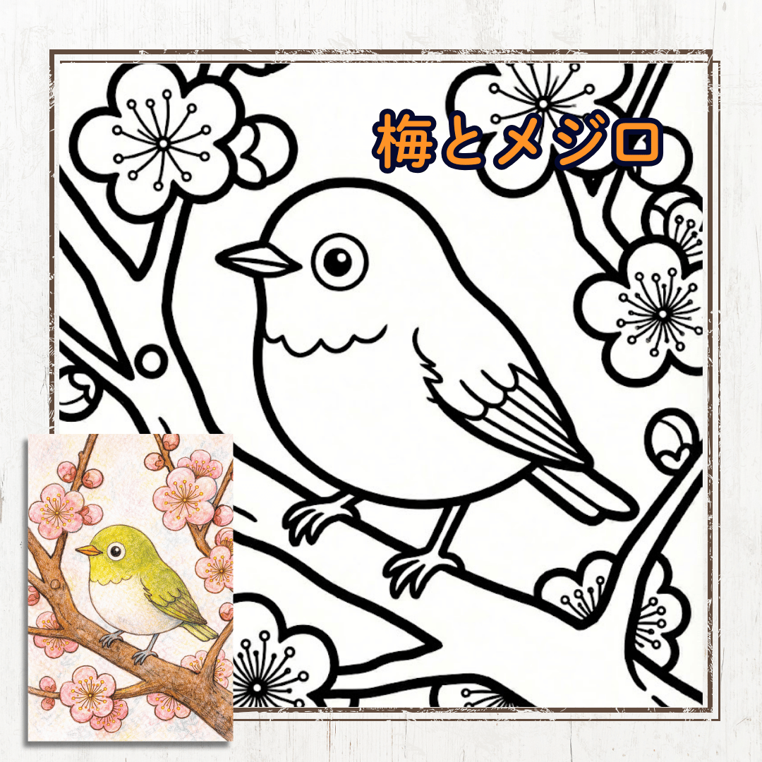 梅とメジロ(ウメジロー)のかんたんカワイイ無料塗り絵