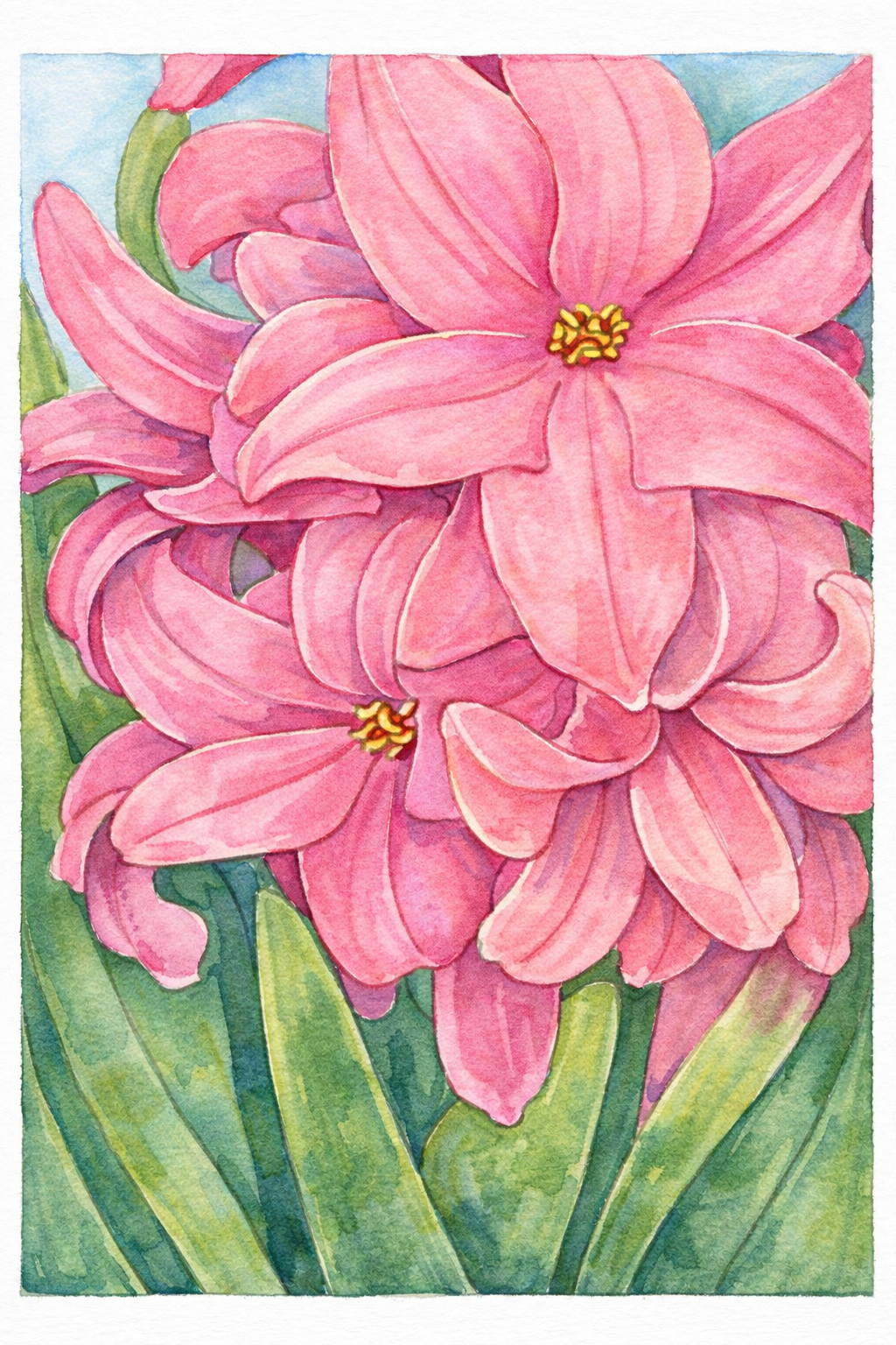 ヒヤシンスの塗り絵見本。鮮やかなピンク色で春の暖かさを表現