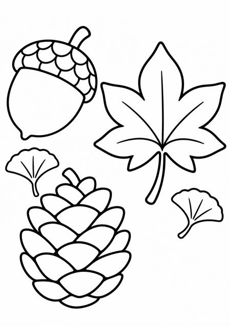 秋の落とし物の子供向け塗り絵。どんぐり、松ぼっくり、もみじ、いちょうの線画