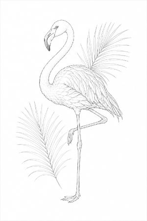 フラミンゴとヤシの葉のボタニカルアート風大人の塗り絵