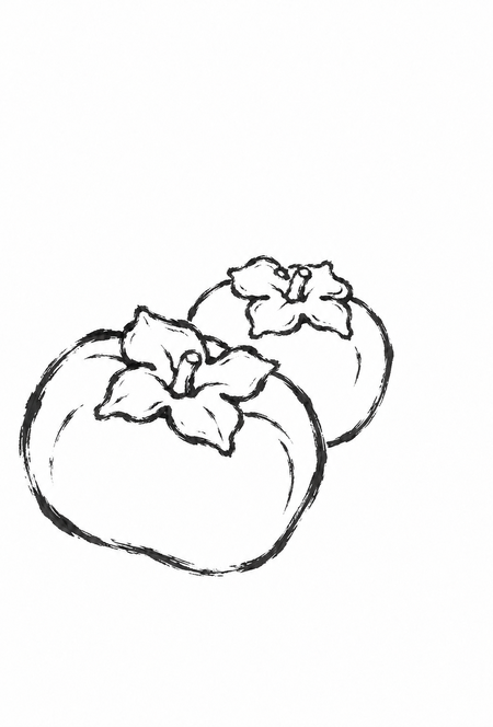 二つ並んだ柿の絵手紙ぬりえ線画