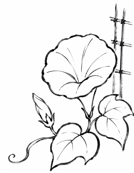 朝顔の絵手紙ぬりえの絵手紙ぬりえ画像