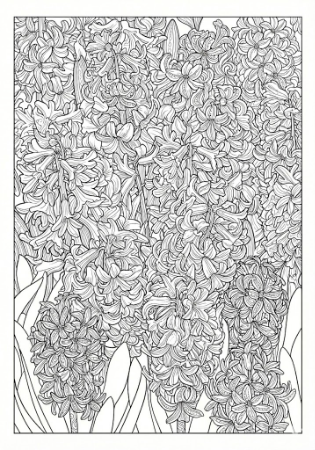 画面いっぱいに小さな花が密集した、超精密なヒヤシンスの塗り絵線画