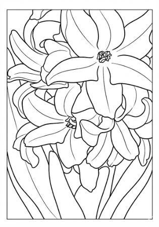 画面いっぱいに描かれたヒヤシンスの花のアップ。高齢者向け塗り絵