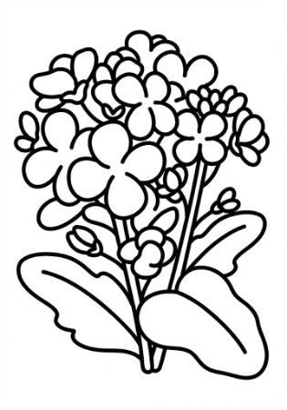 太い線で描きやすい、高齢者向けの春の菜の花の塗り絵