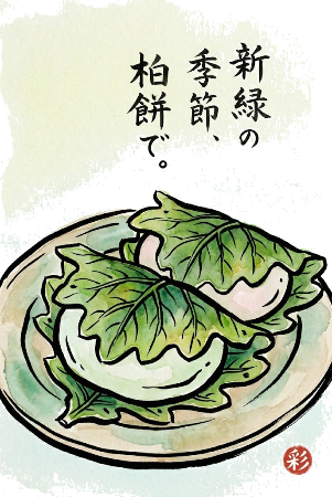 柏餅の塗り絵見本。新緑の季節、柏餅で。という文字が入った絵手紙風