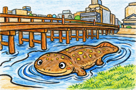 オオサンショウウオの塗り絵見本。茶色に黄色い斑点を描き、川の流れを青く塗ったリアルな仕上がり