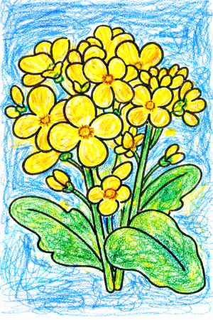 菜の花の塗り絵見本。背景に青空を塗った爽やかな作例