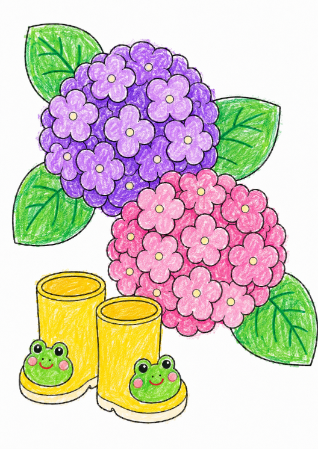 アジサイと長ぐつの塗り絵見本（はっきりした色合い）