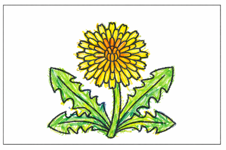 たんぽぽの塗り絵見本。黄色い花びらと緑の葉っぱが元気な印象のデザイン