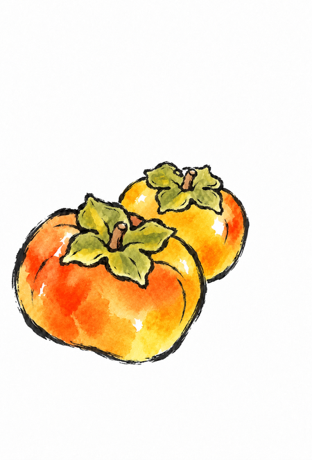 柿二つの絵手紙ぬりえ見本2