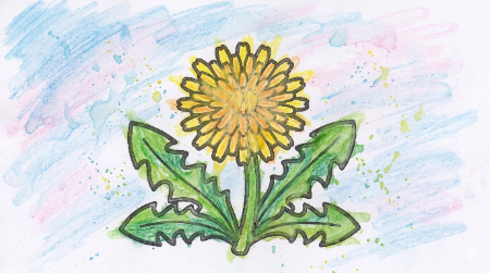 たんぽぽの塗り絵見本。オレンジや薄い黄色を重ねた柔らかなタッチ