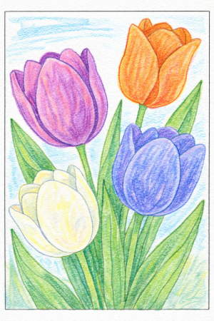 チューリップの塗り絵見本。紫、オレンジ、青、白を使った少し大人っぽい配色
